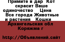 Примите в дар. Кот скрасит Ваше одиночество. › Цена ­ 0 - Все города Животные и растения » Кошки   . Архангельская обл.,Коряжма г.